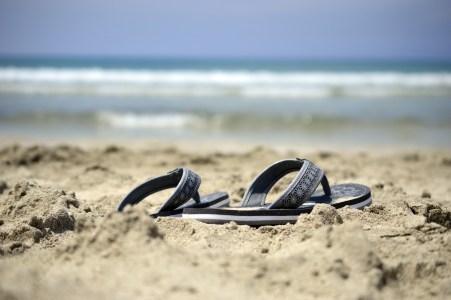 a bird sitting on top of a sandy beach