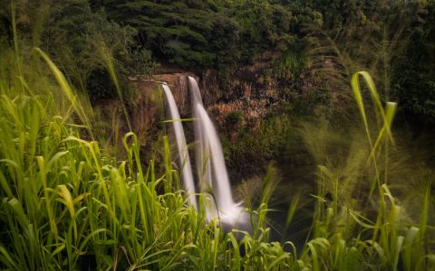 a waterfall surrounded by tall grass